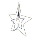 Celebrations LED Clear/Warm White 12 in. Star Hanging Decor MICB-BOHS-WWTA